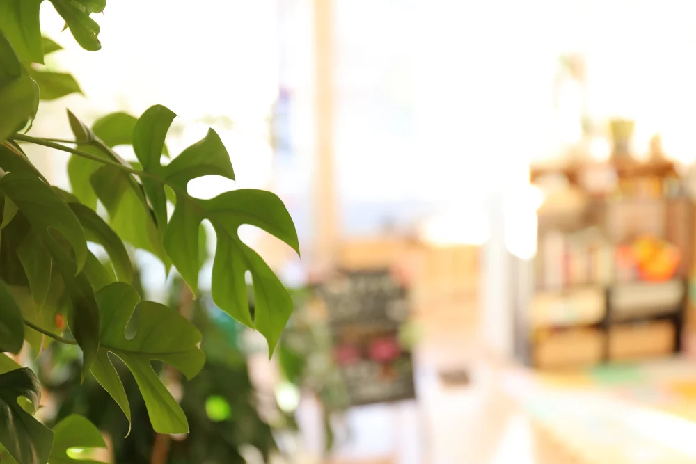 諫早市の整骨院えんの院内