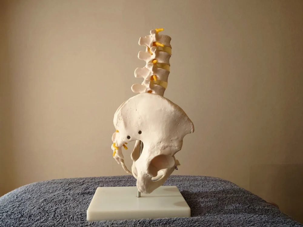 股関節に痛みの治療が得意な諫早市の整骨院えん